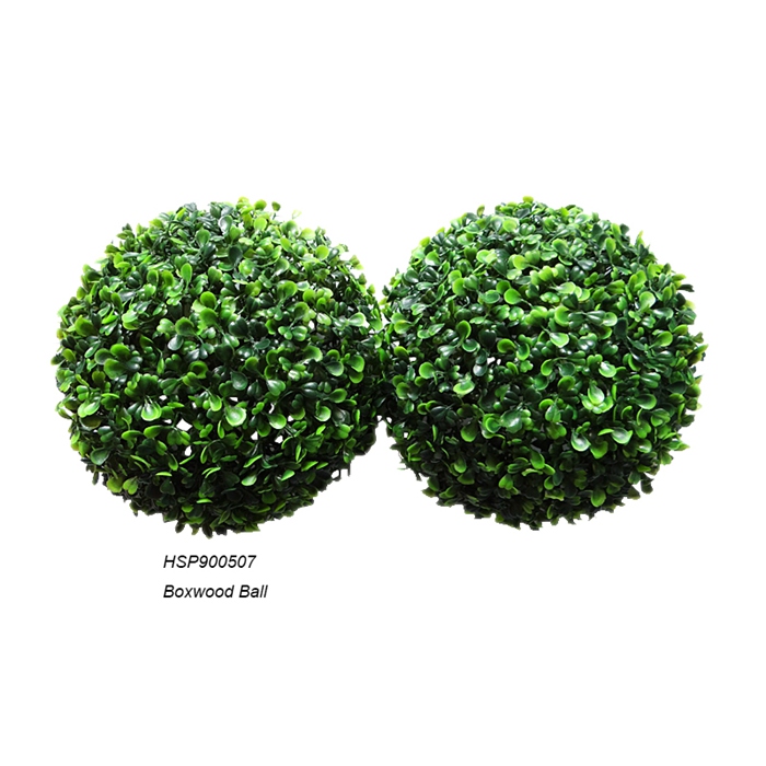 Grass
