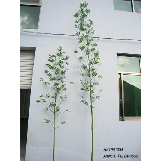 Bamboos
