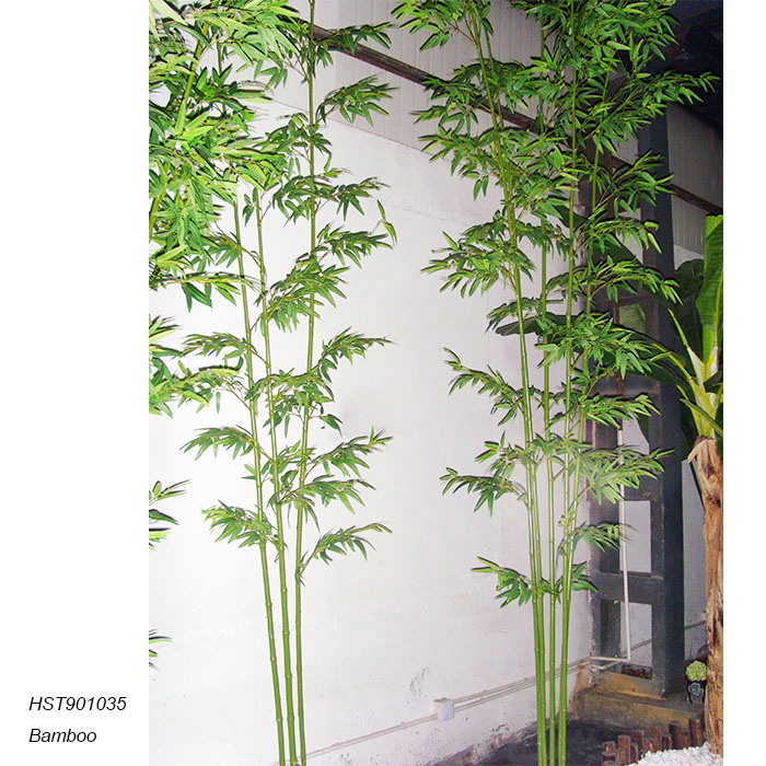 Bamboos