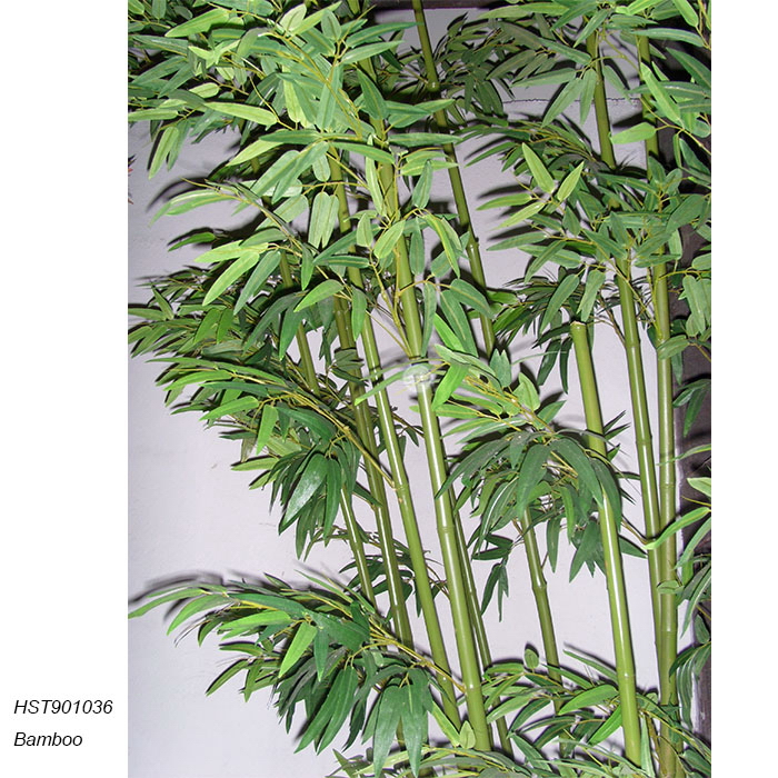 Bamboos