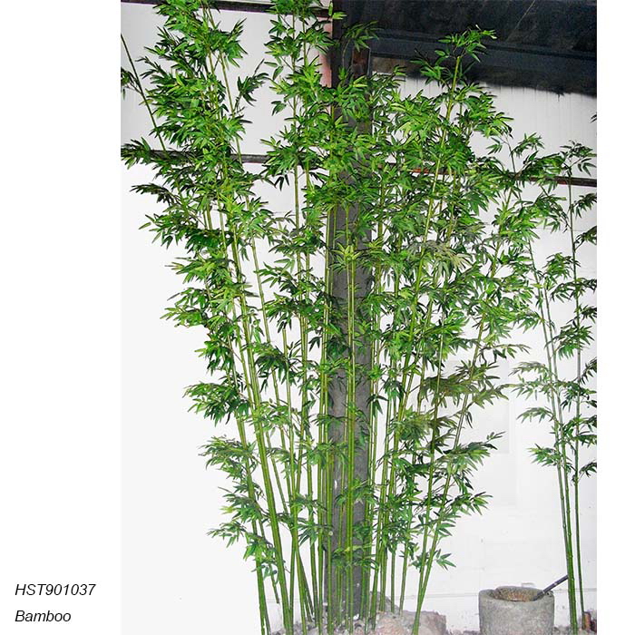 Bamboos