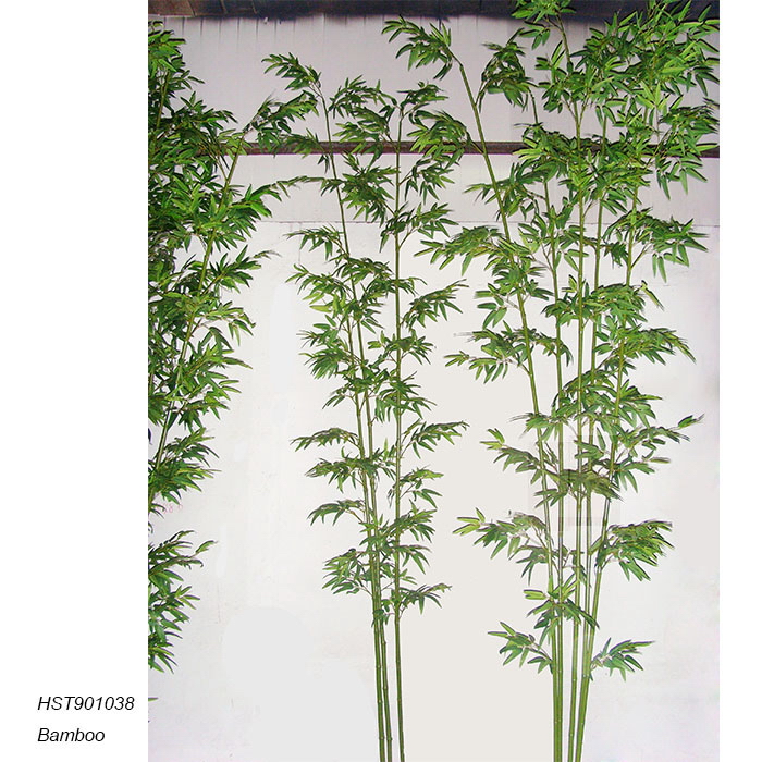 Bamboos