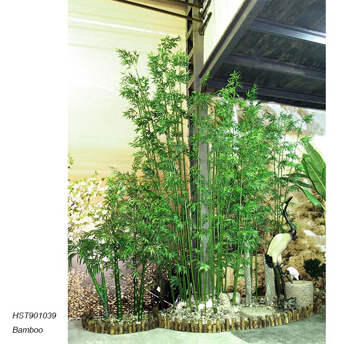 Bamboos