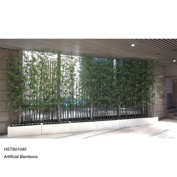 Bamboos