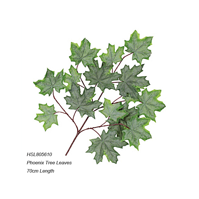 Leaves