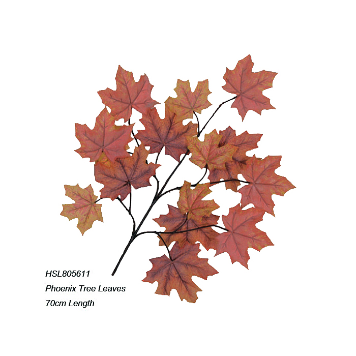Leaves