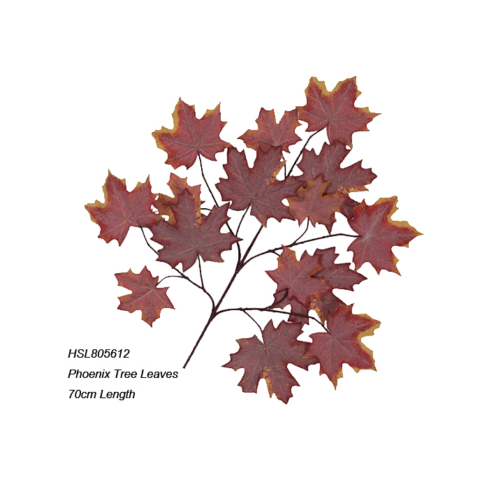 Leaves