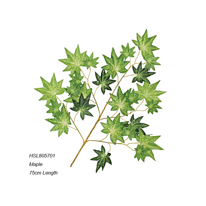 Leaves