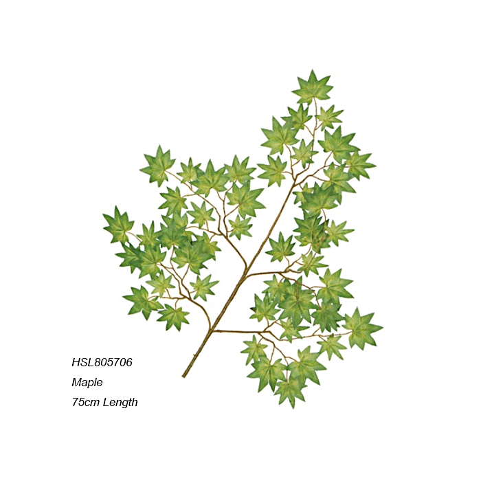 Leaves