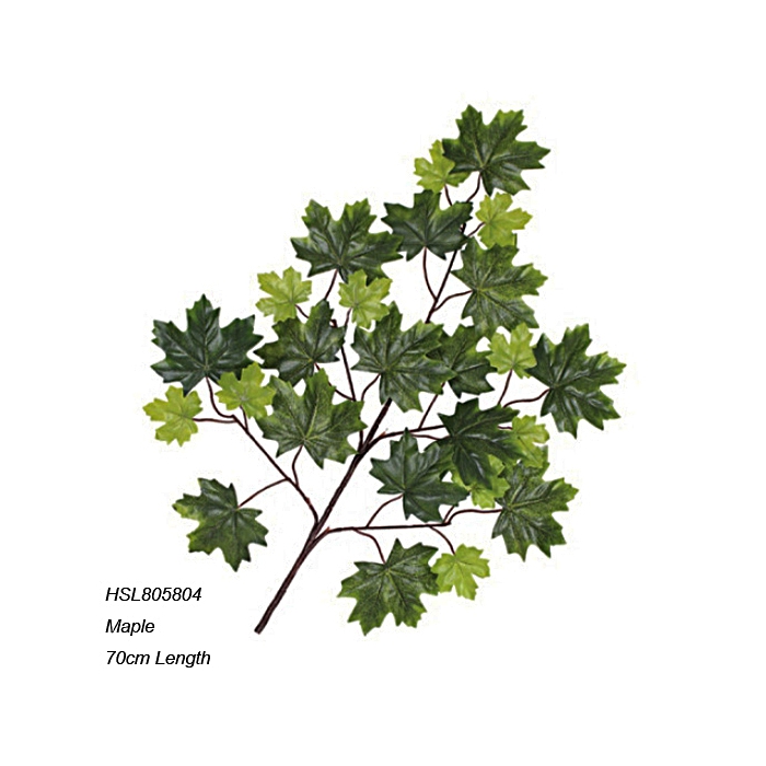 Leaves
