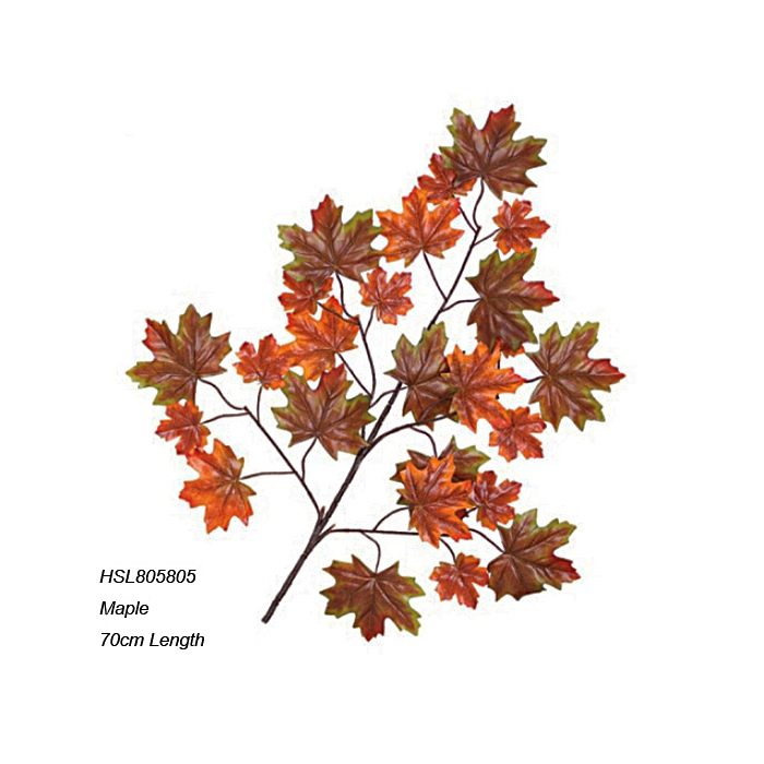 Leaves