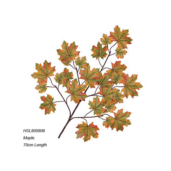 Leaves