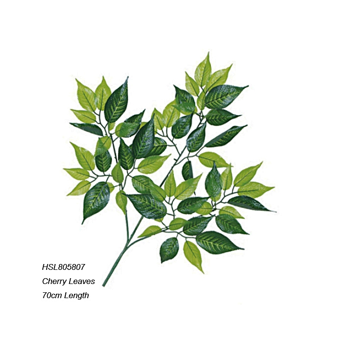 Leaves