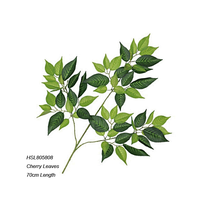 Leaves