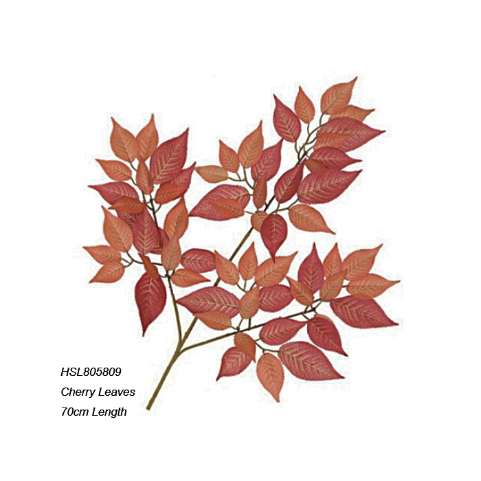 Leaves