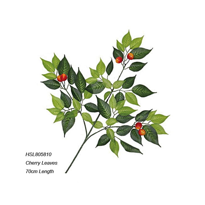 Leaves