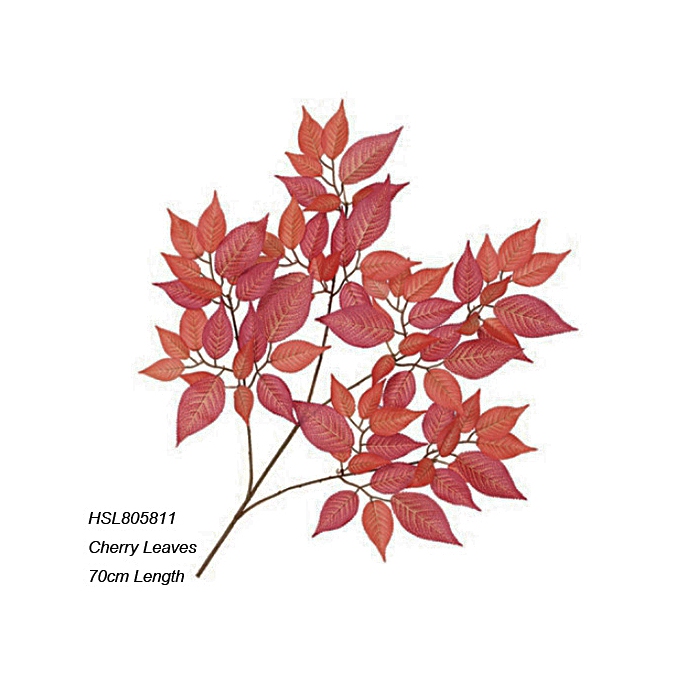 Leaves