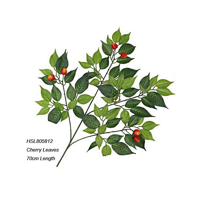 Leaves