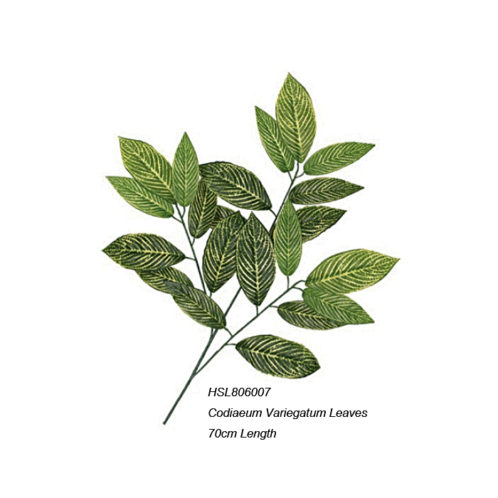 Leaves