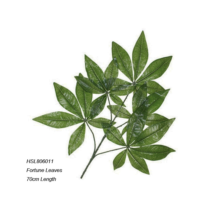 Leaves