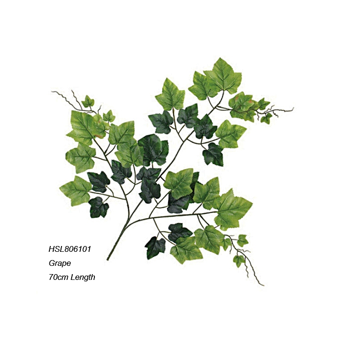 Leaves