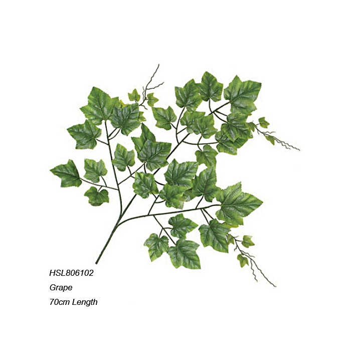 Leaves
