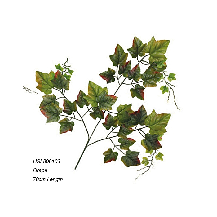 Leaves