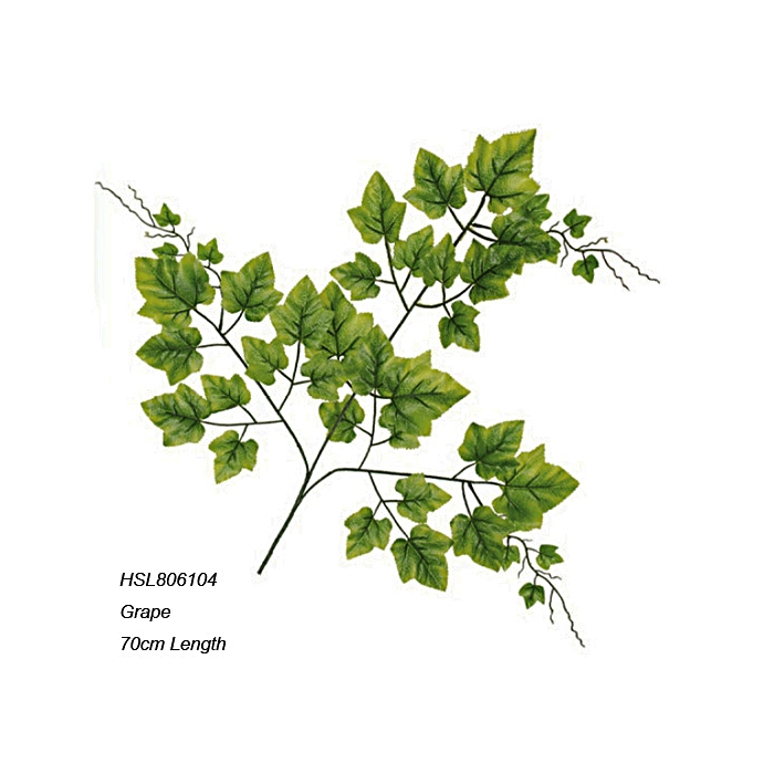 Leaves