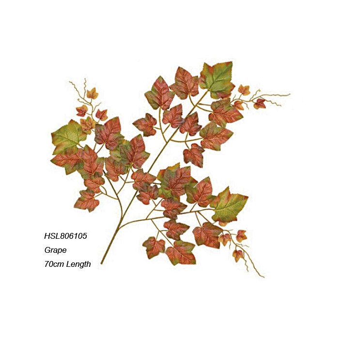 Leaves