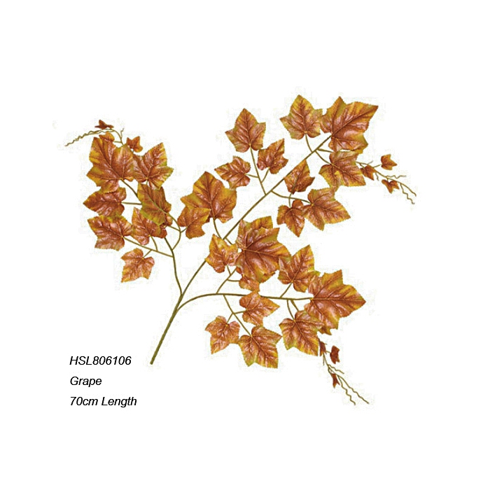 Leaves