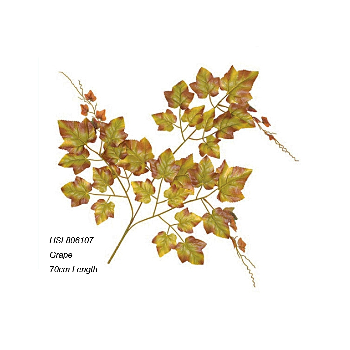 Leaves