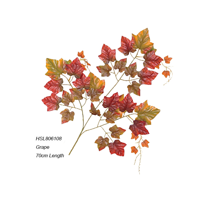 Leaves