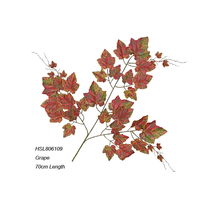 Leaves