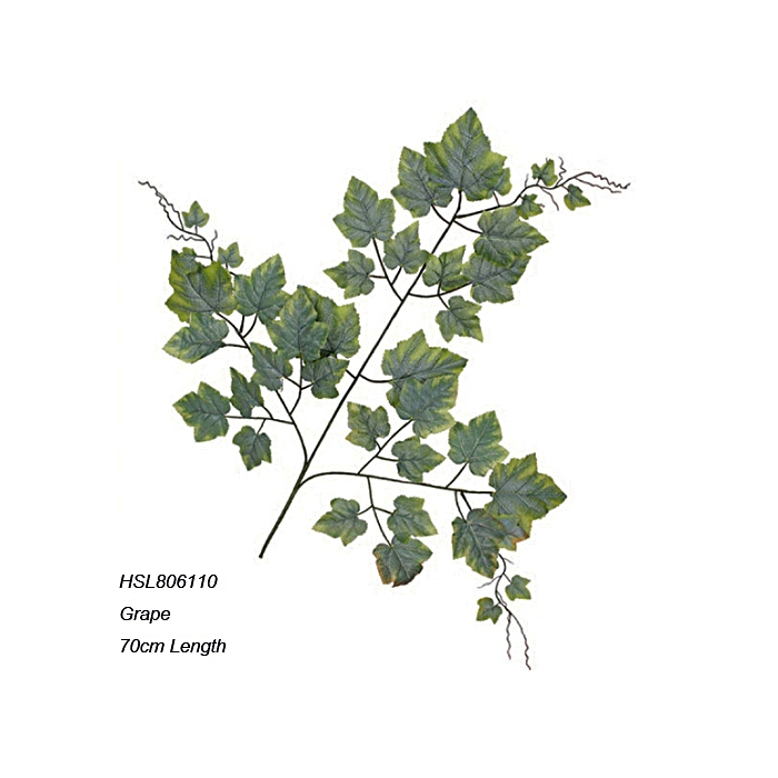 Leaves