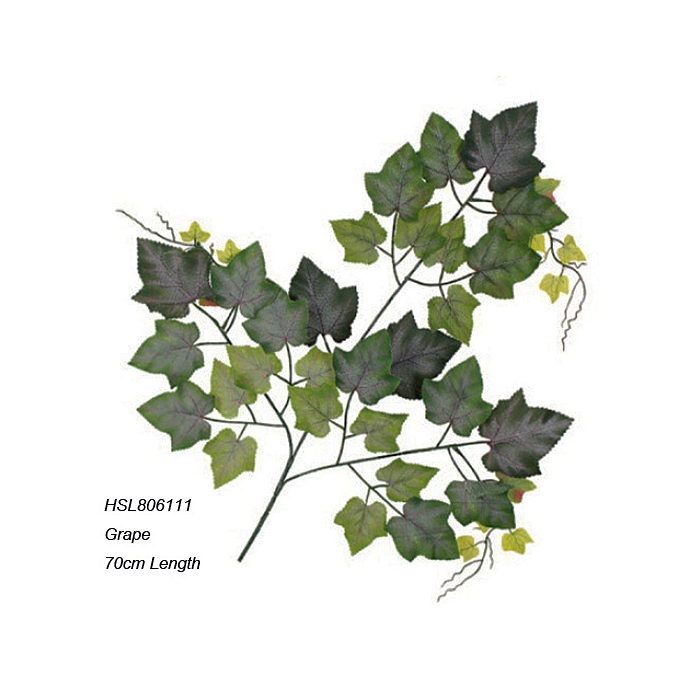 Leaves