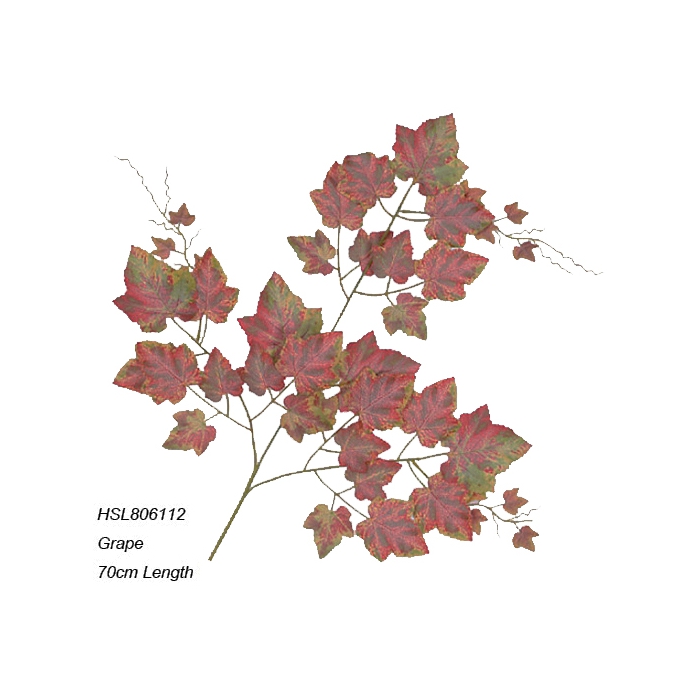 Leaves
