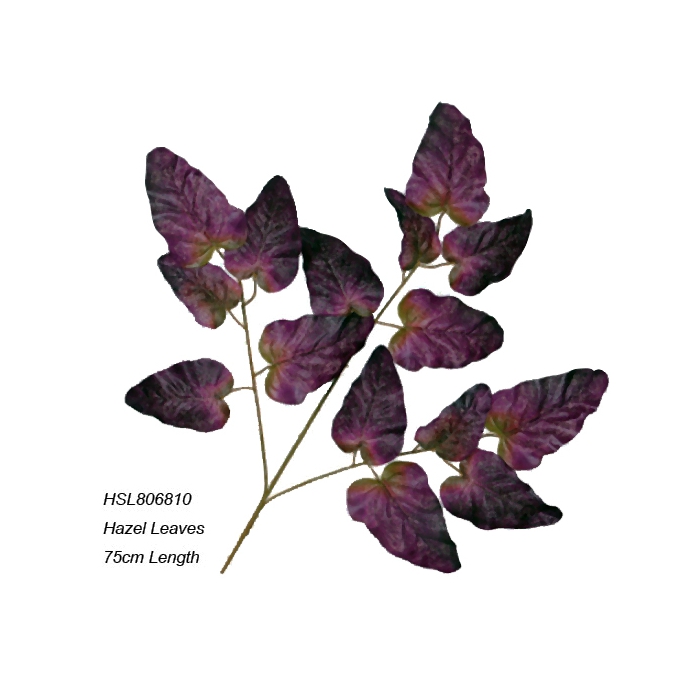 Leaves