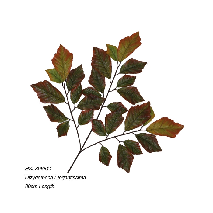 Leaves