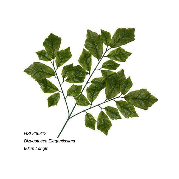 Leaves