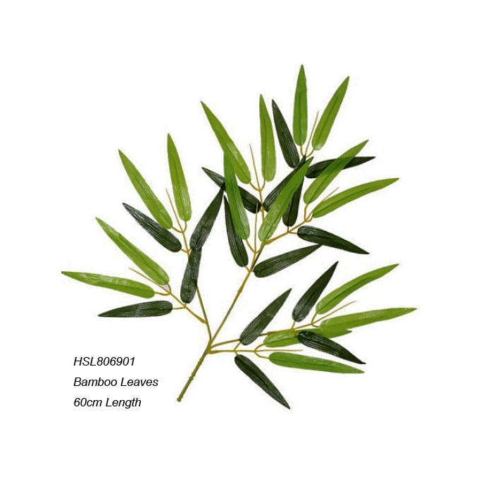 Leaves