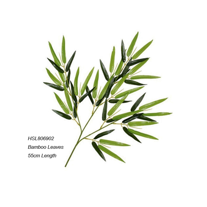 Leaves