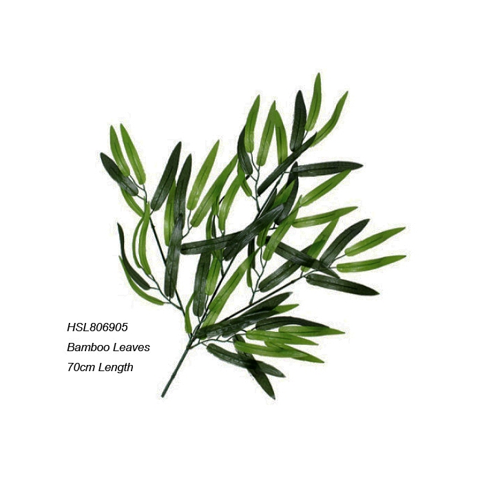 Leaves