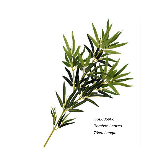 Leaves