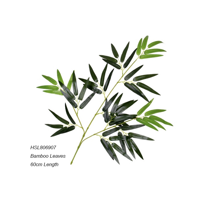 Leaves