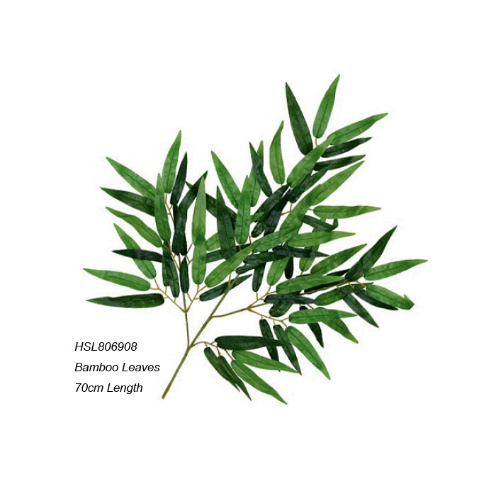 Leaves