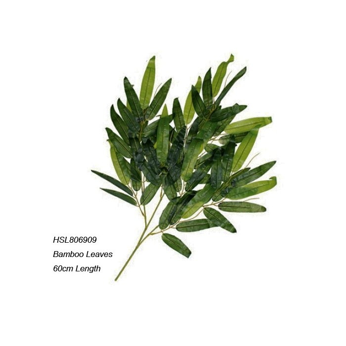 Leaves