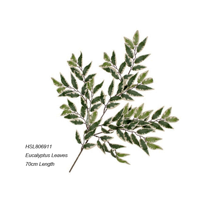 Leaves