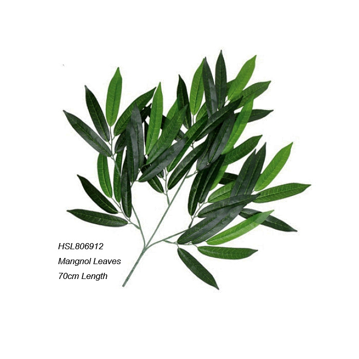 Leaves