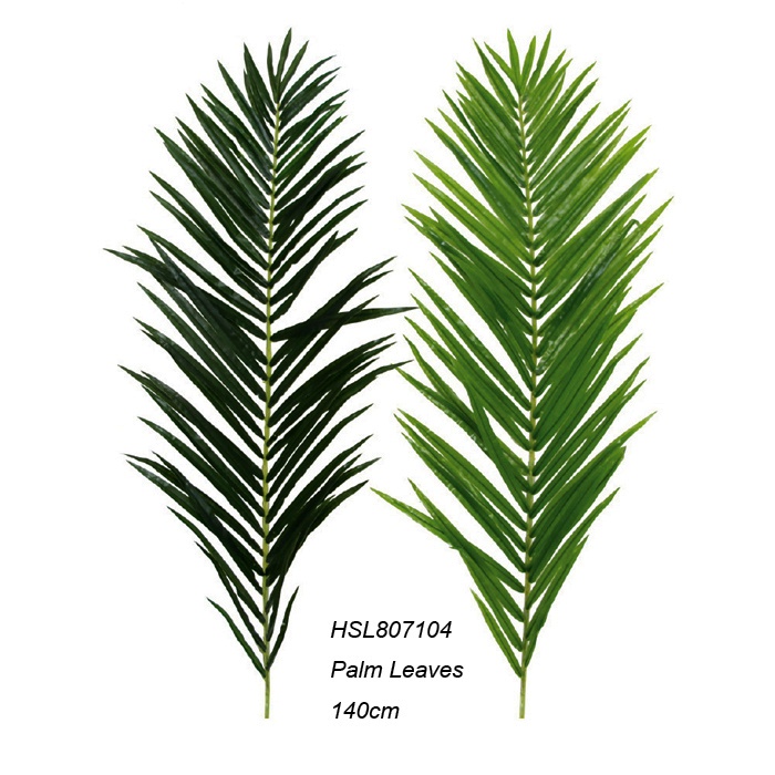 Leaves