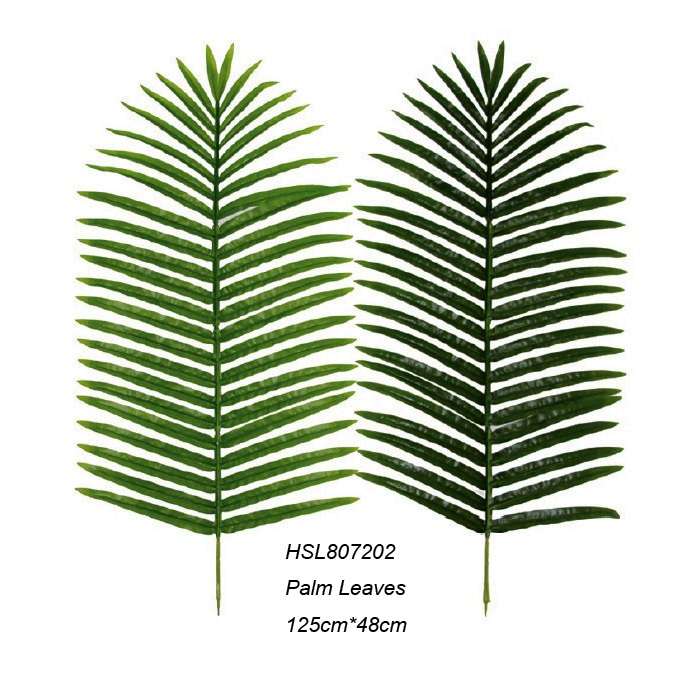 Leaves